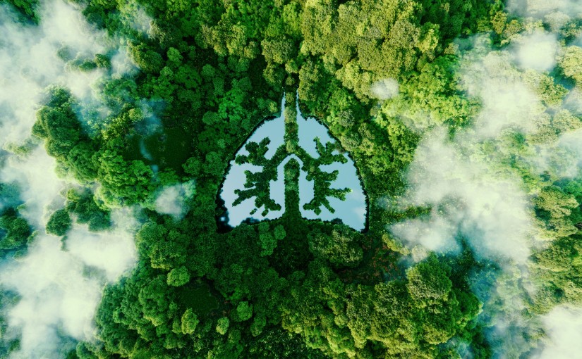 soluciones-fitogenicas-salud-respiratoria